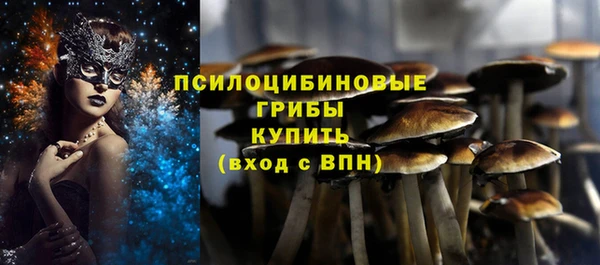ECSTASY Балабаново